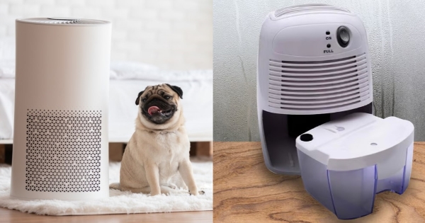 When to use air purifier and dehumidifier